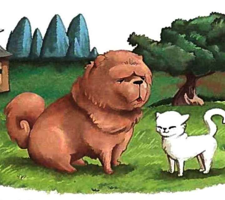 Il cane e il gatto puzzle online