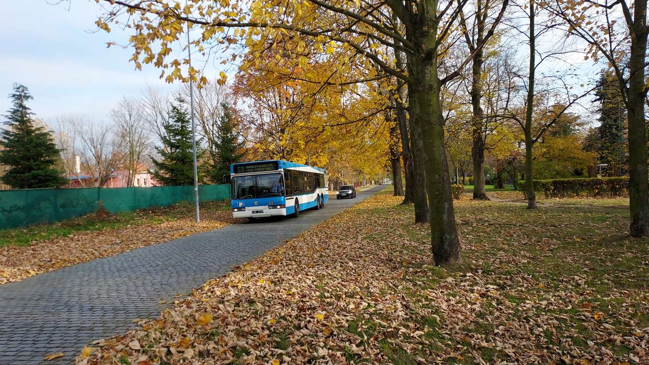 Legnica, Neoplan N4020td # 111, Autunno puzzle online