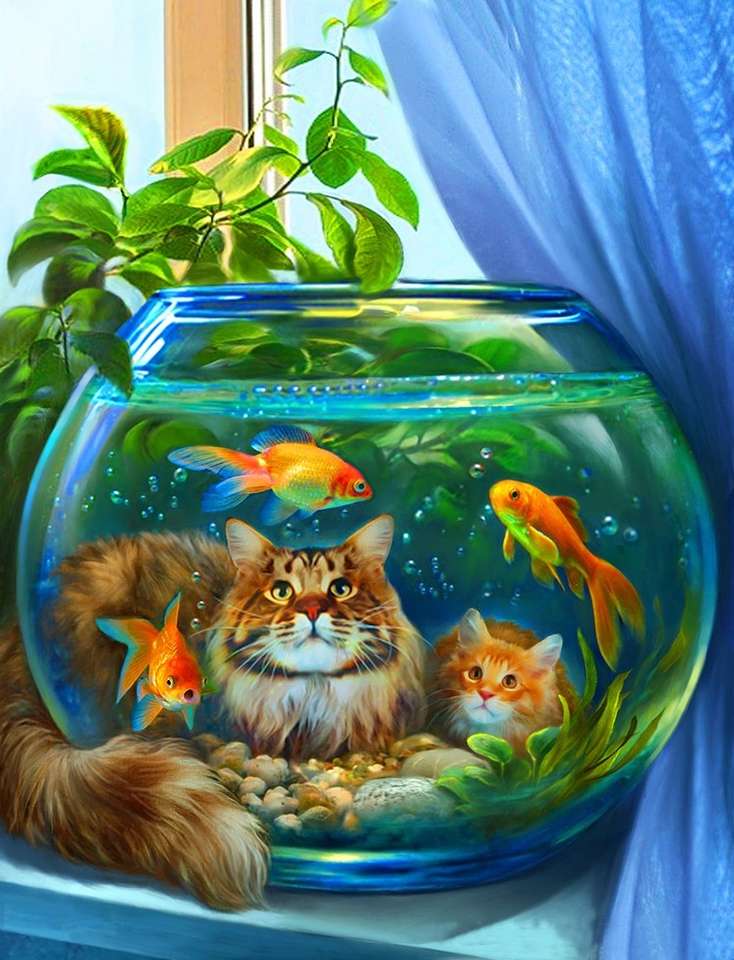 Katzen, die das Aquarium betrachten Puzzlespiel online