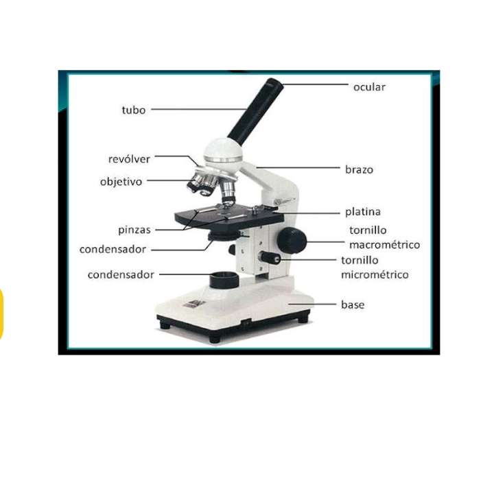 mikroskop online puzzle