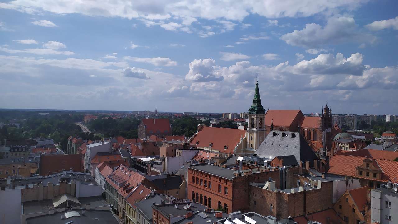 Panorama över Toruń pussel på nätet