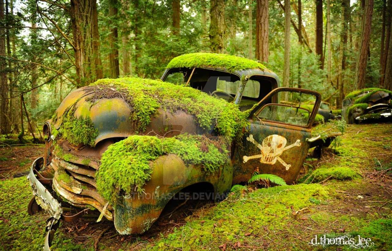 Автомобилно гробище в гората - Голям формат онлайн пъзел