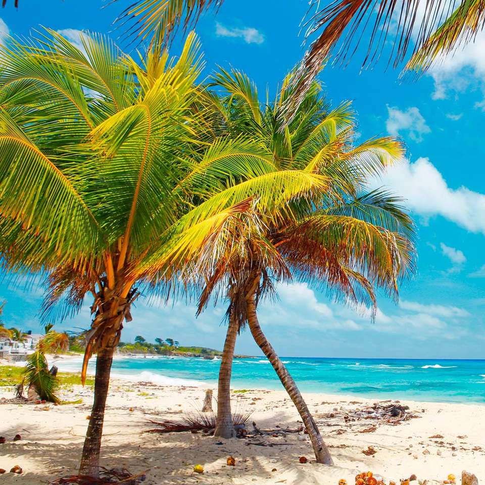 Jamaica in the Caribbean Sea jigsaw puzzle online