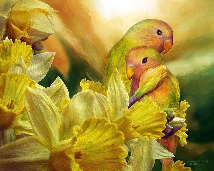 Papageien zwischen gelben Lilien Online-Puzzle