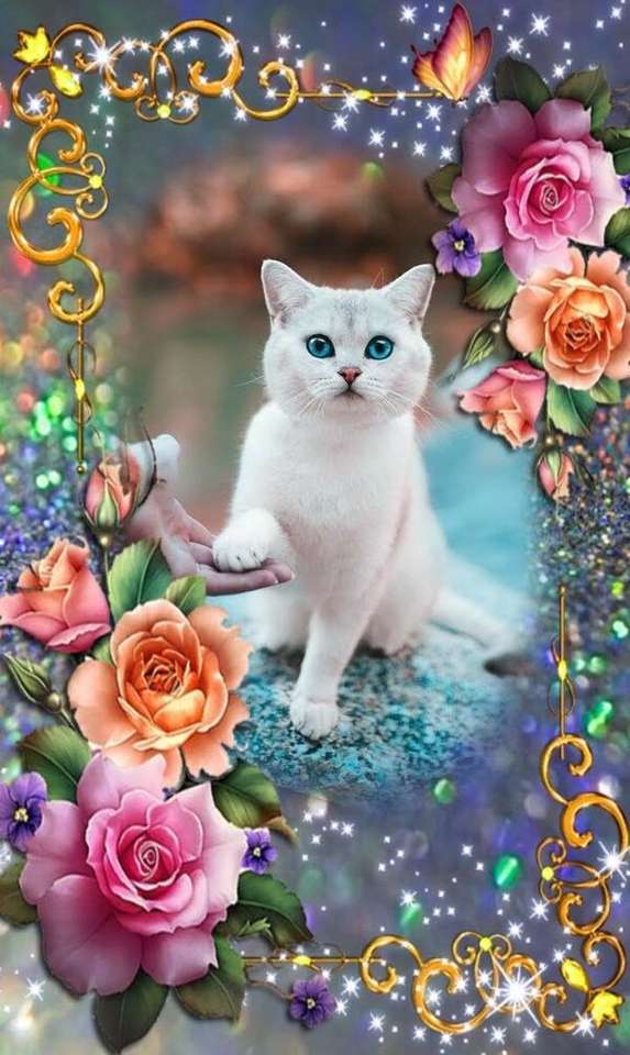 gyönyörű kék ​​szemű cica kirakós online
