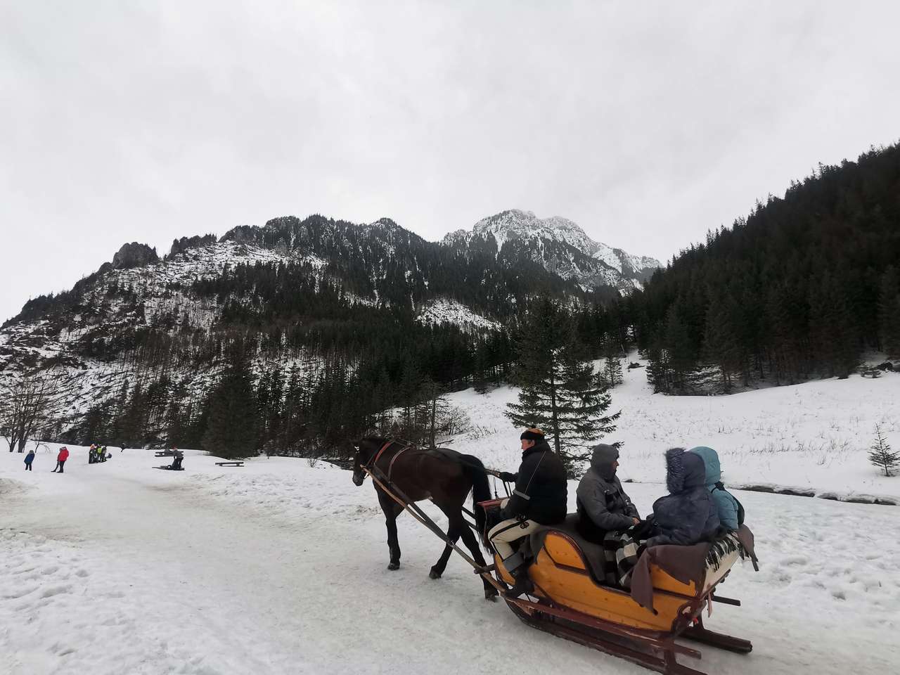 Зима в Косцелиской долине онлайн-пазл