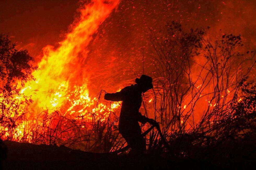 φωτιά δάσους παζλ online