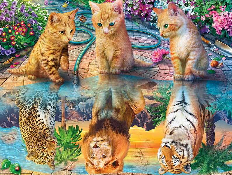 Gatinhos olham reflexo na água puzzle online