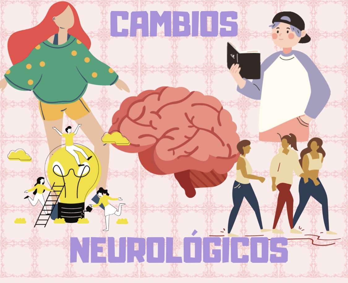 Neurológiai változások serdülőkorban online puzzle