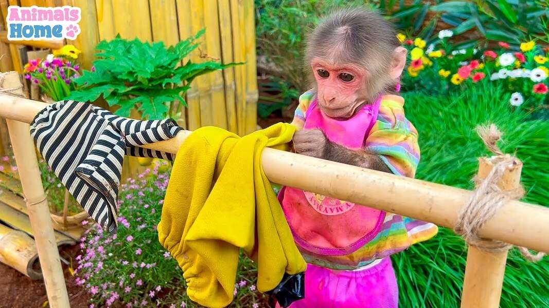 Něžná opice Bibi #30 skládačky online
