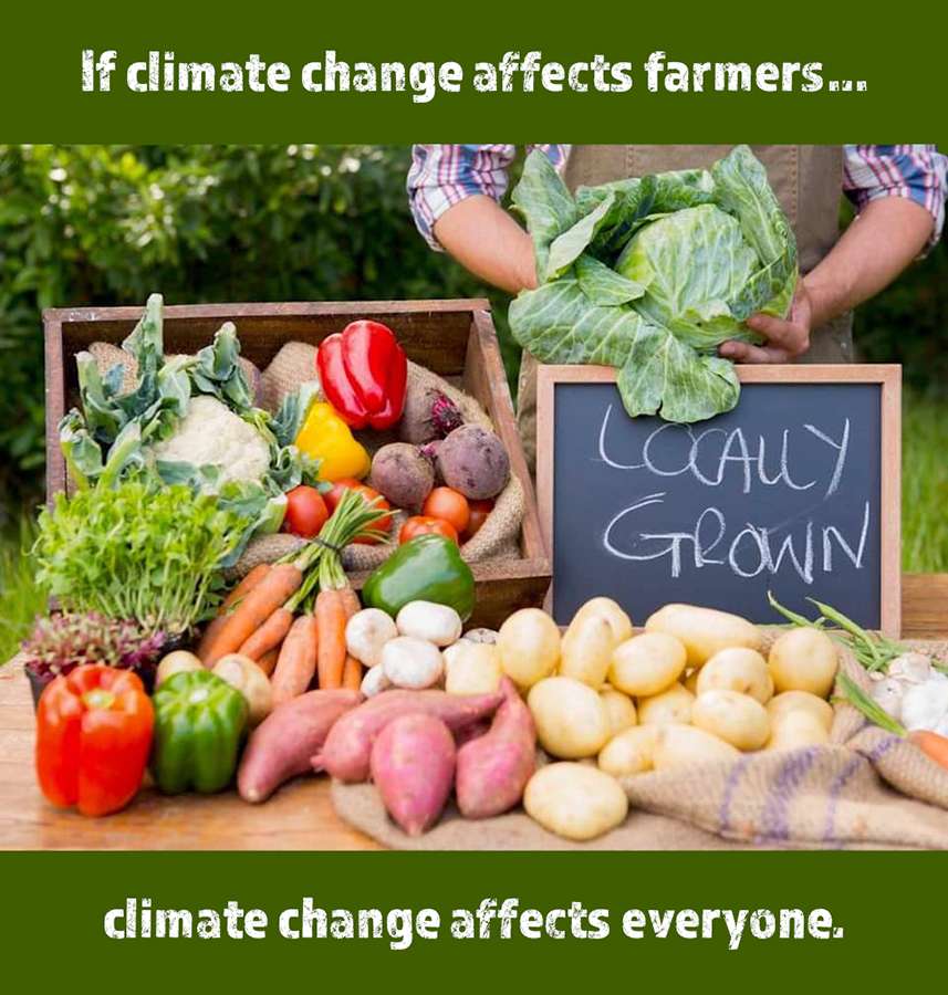 Изменение на климата Селско стопанство онлайн пъзел