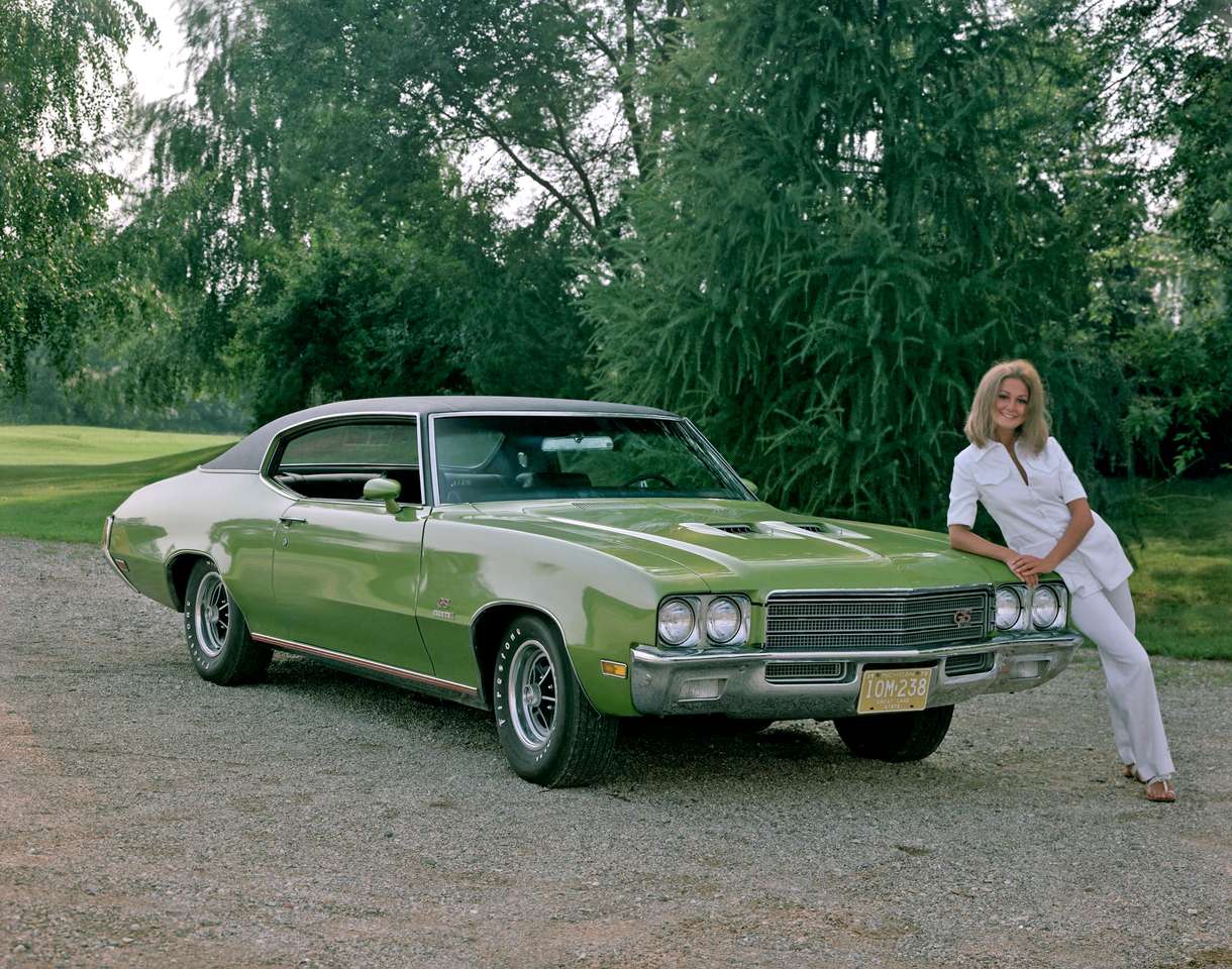 1971 Buick GS 455 Steg 1 pussel på nätet