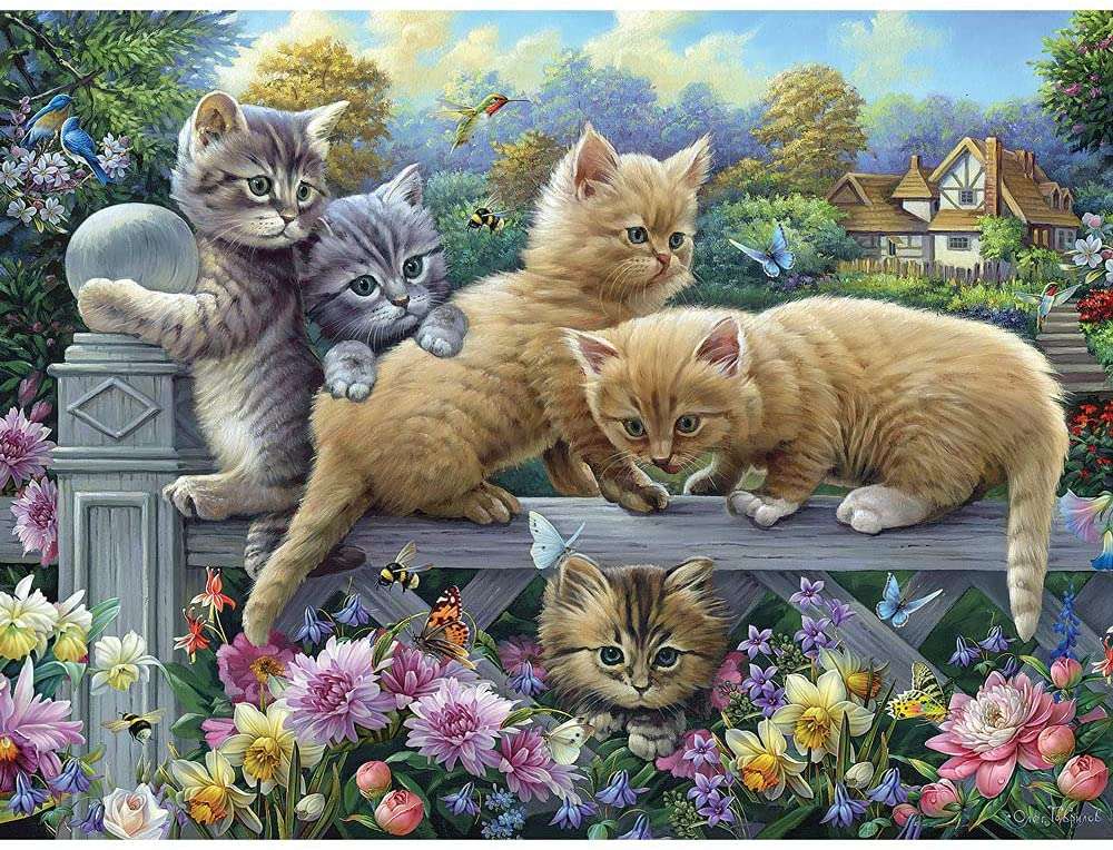 Mooie kittens online puzzel