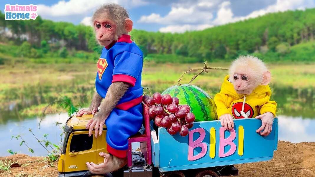 Нежная обезьянка Биби #33 онлайн-пазл
