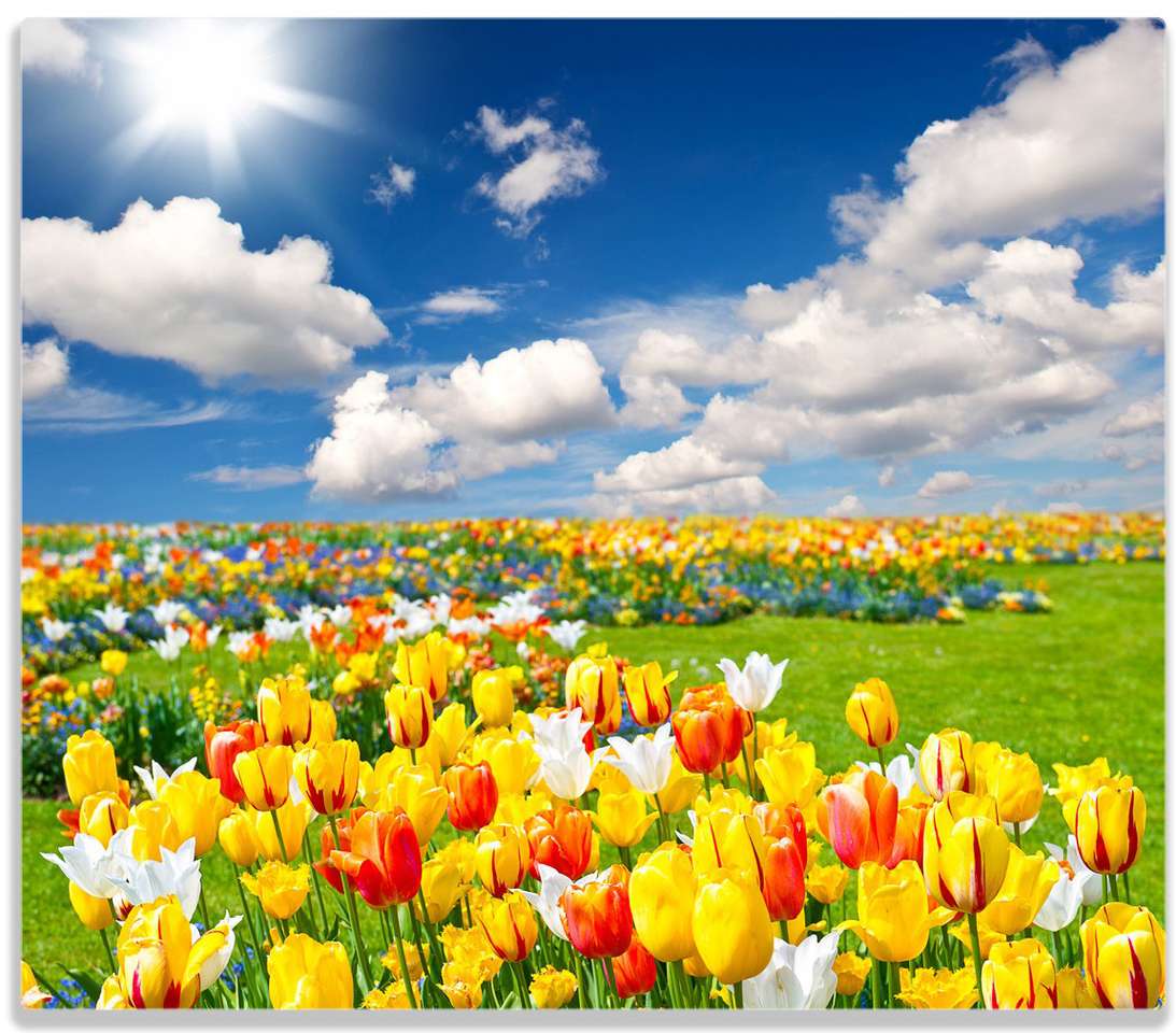 Prado de tulipanes rompecabezas en línea
