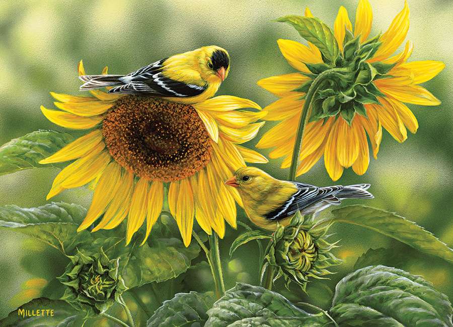distelvinken in zonnebloemen online puzzel