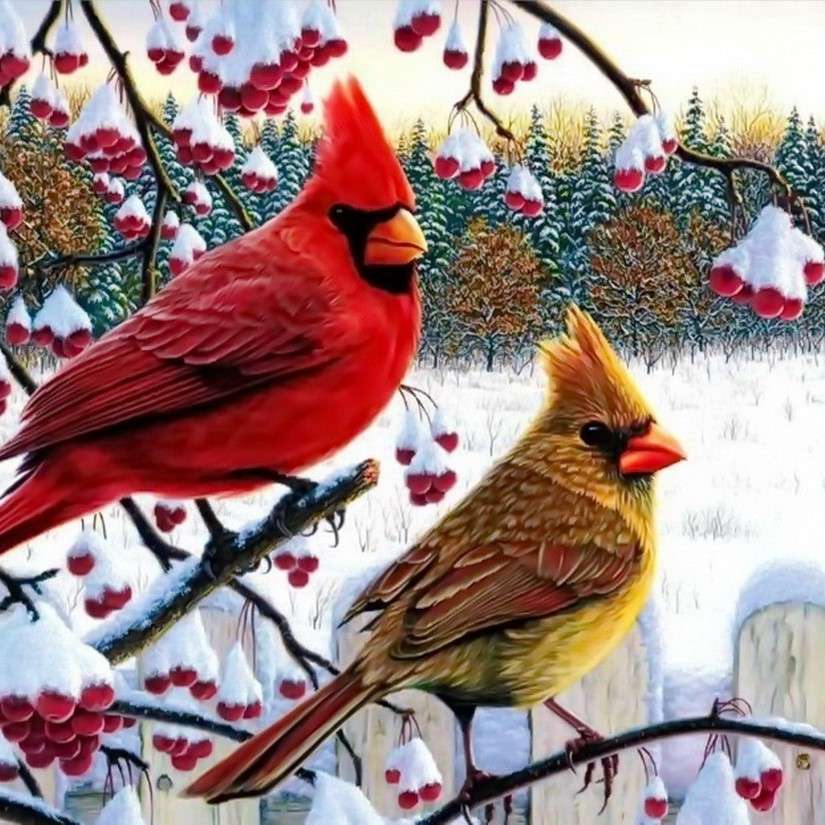 Kardinalen vogels op de tak legpuzzel online
