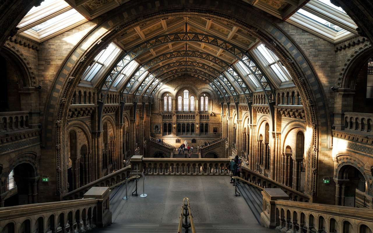 Μουσείο Φυσικής Ιστορίας, Λονδίνο online παζλ
