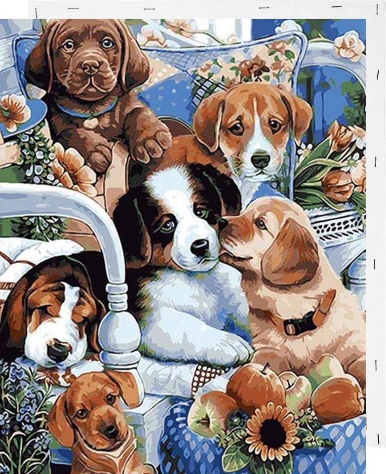 Bei cani puzzle online