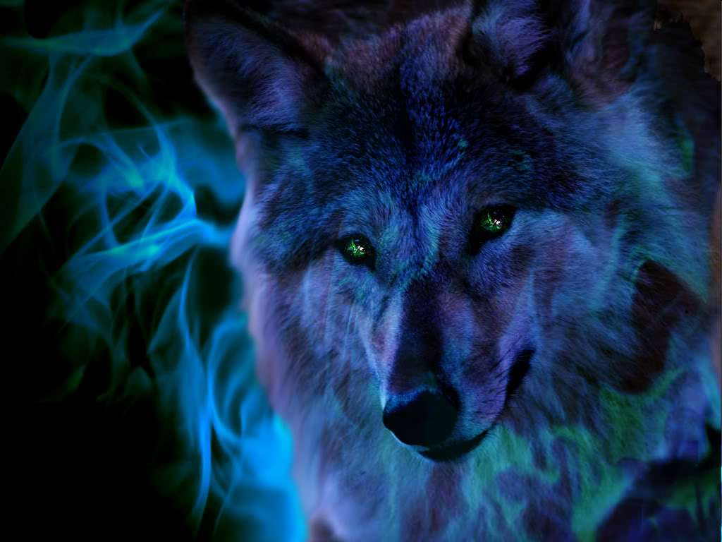 wolf in de nacht legpuzzel online