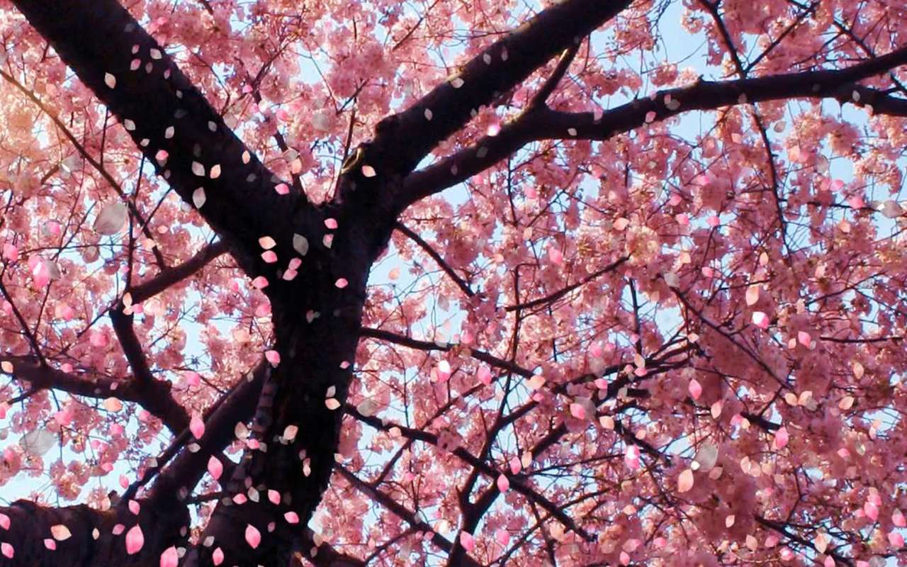 árvore florida quebra-cabeças online