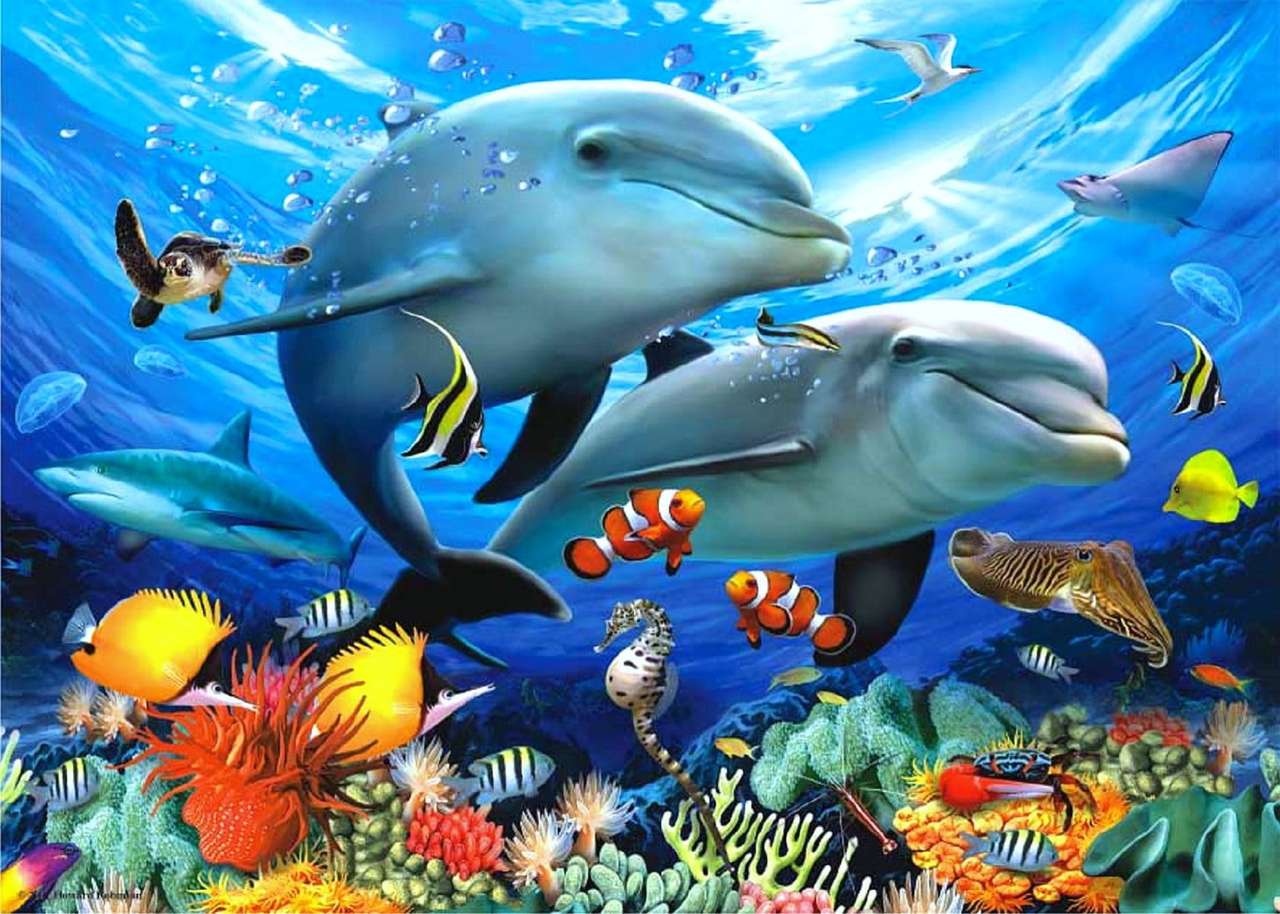 Die Welt der Delfine Puzzlespiel online