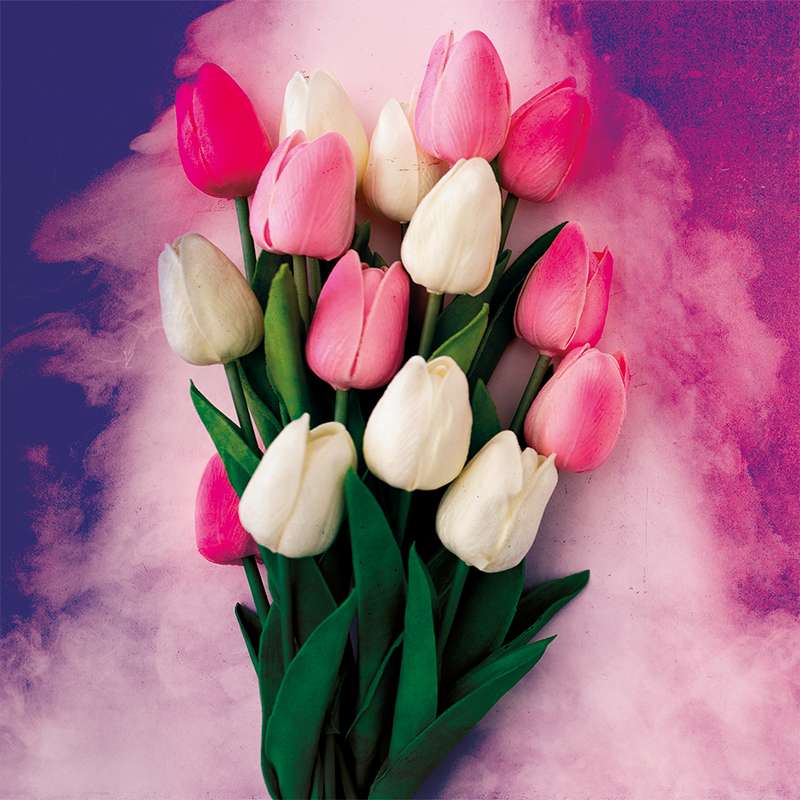 tulips_image online παζλ