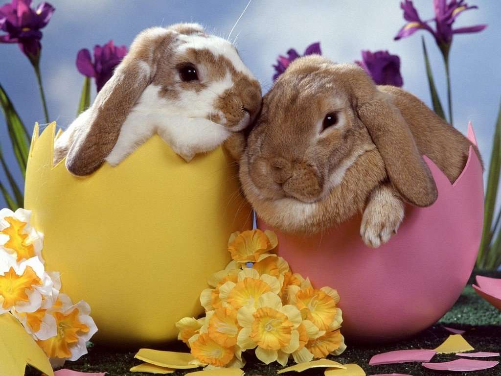 Easter. skládačky online