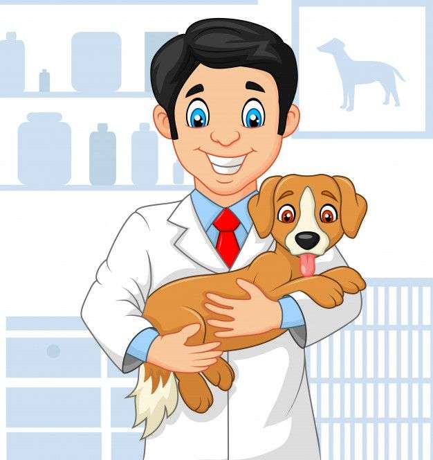 ветеринарен онлайн пъзел