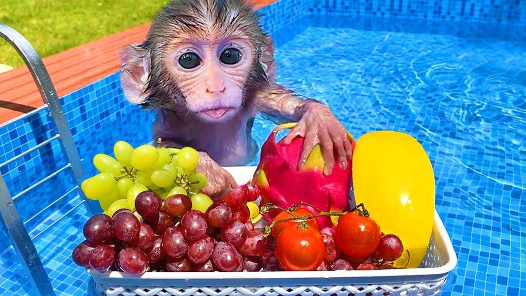 Нежная обезьянка Биби #54 онлайн-пазл