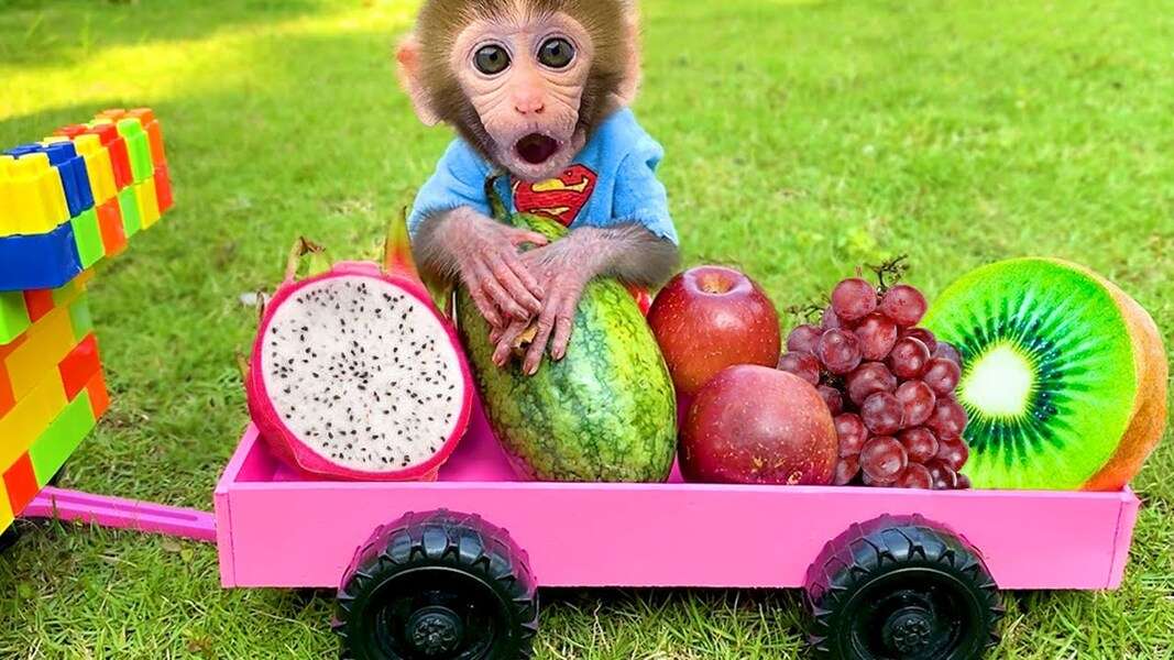 Сладка маймуна Биби №55 онлайн пъзел