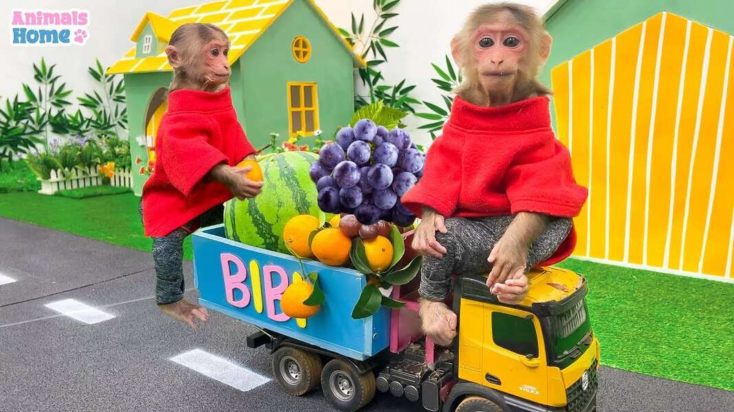 Něžná opice Bibi #56 online puzzle