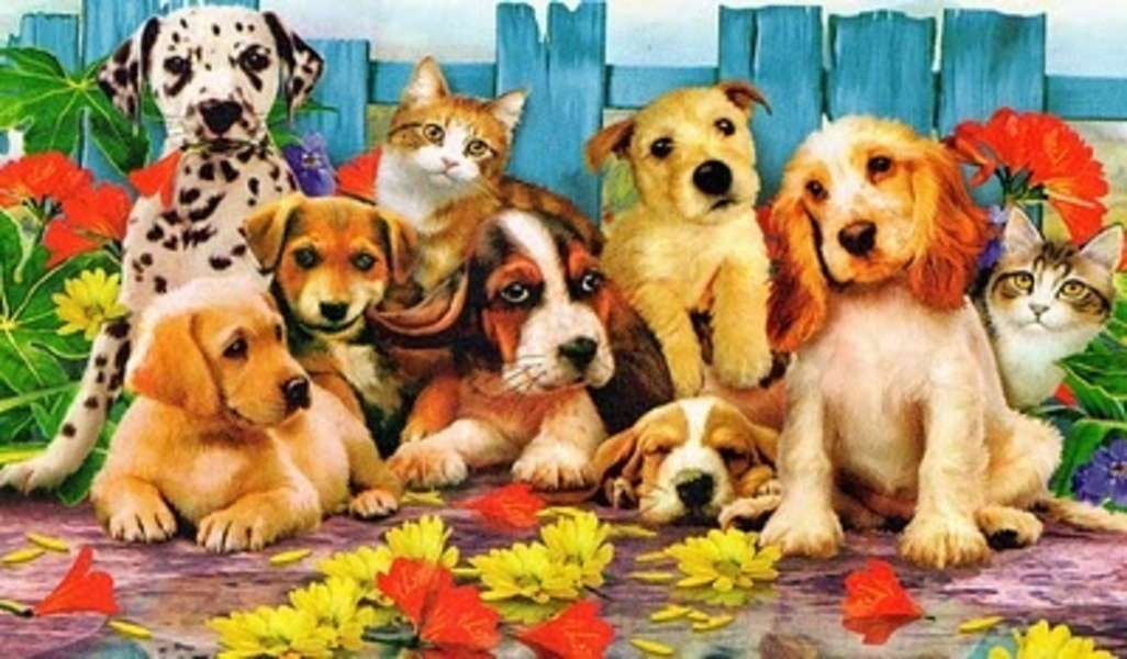 Puppies in the company of kittens #16 jigsaw puzzle online