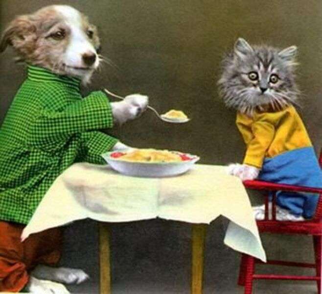 Щенок кормит котенка №17 пазл онлайн