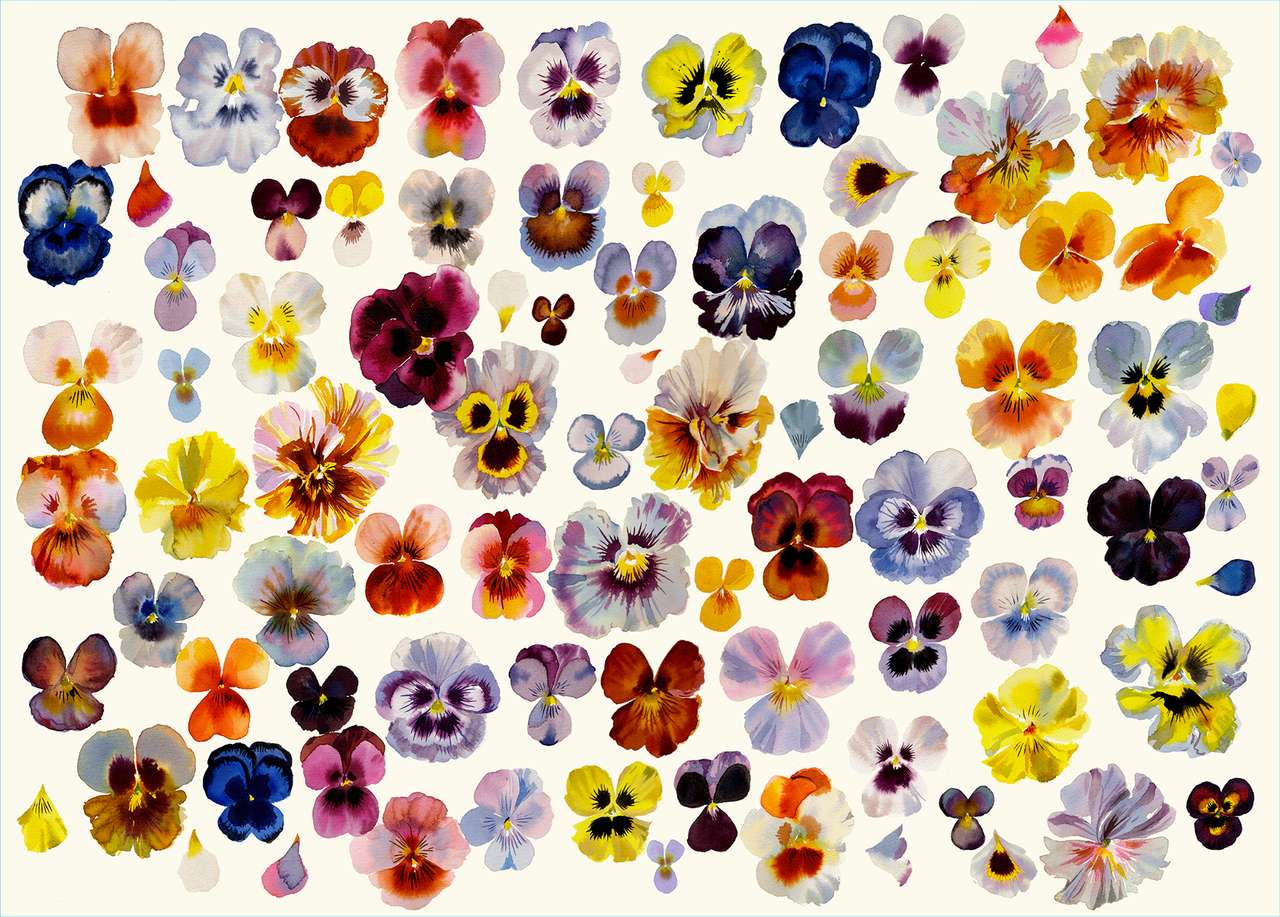 een veld van viooltjes legpuzzel online