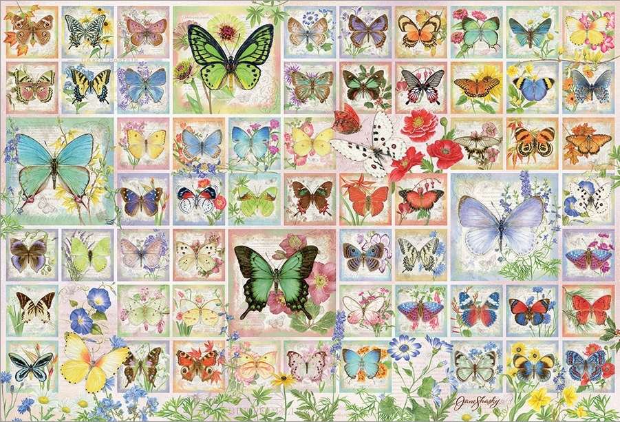 BUTTERFLY COLLECTION online puzzle