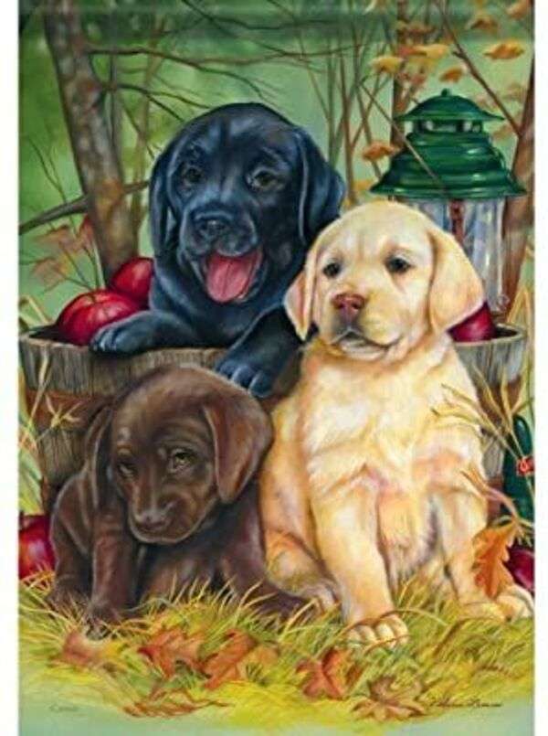 Tre bellissimi cuccioli #20 puzzle online