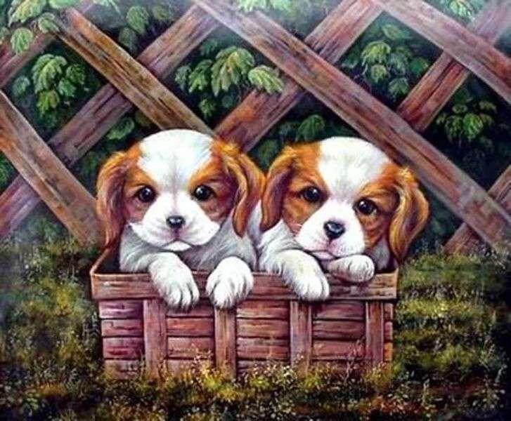 Twee prachtige puppy's #21 online puzzel