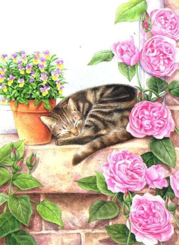 Gattino addormentato sul muro n. 24 puzzle online