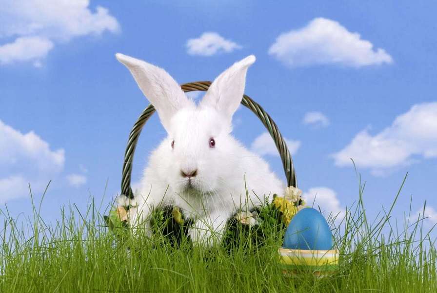 Easter. skládačky online