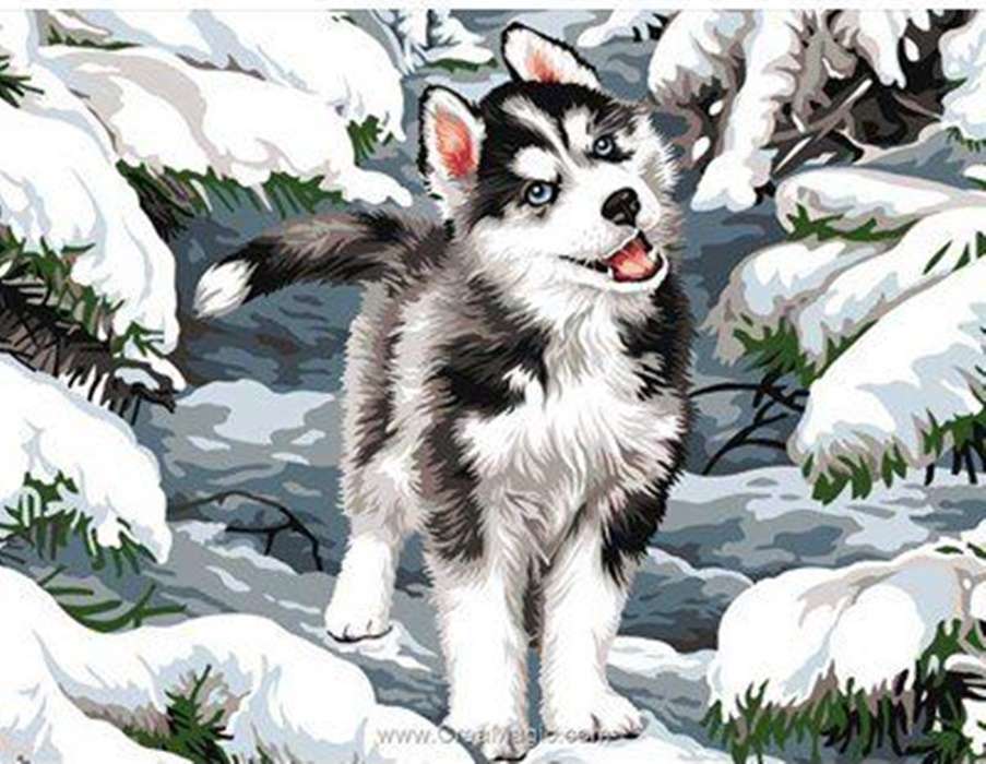 härlig hund i snön pussel på nätet