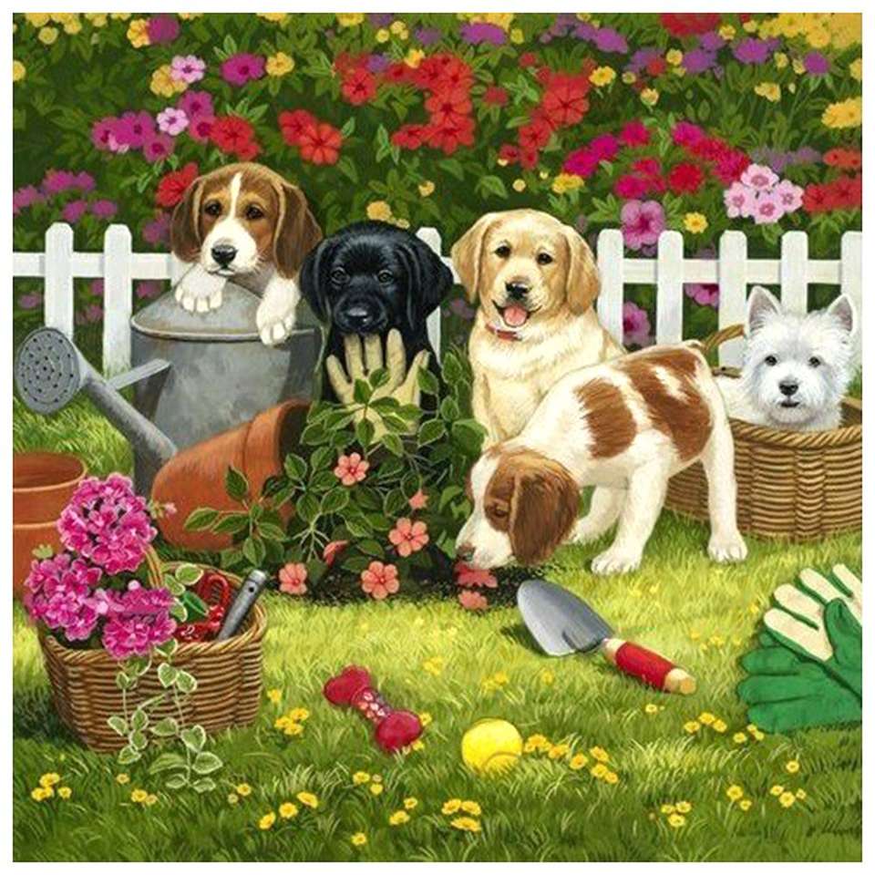 zahradní psi online puzzle