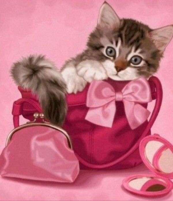 Kitten in een zak #40 legpuzzel online