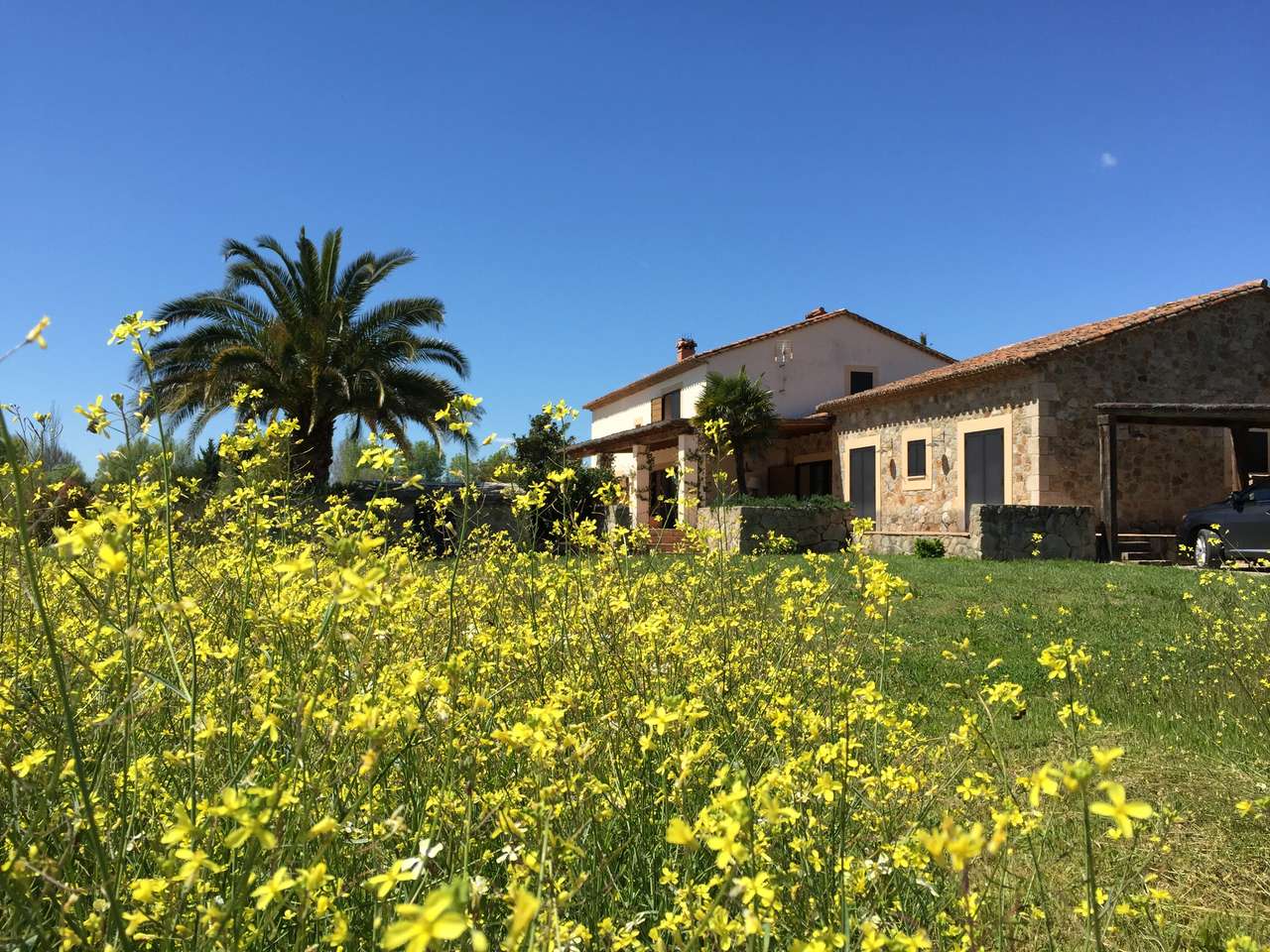 Casa en el campo rompecabezas en línea