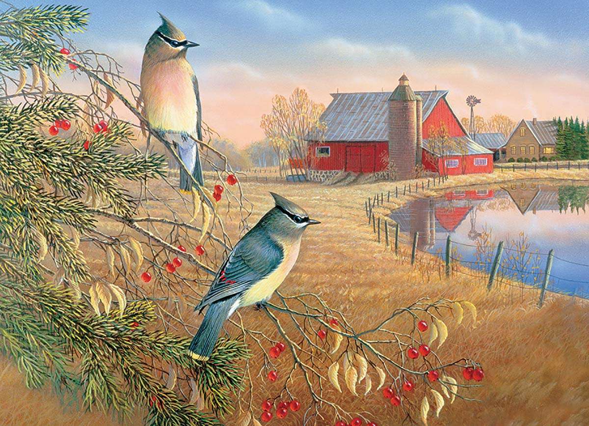 păsări mici pe câmp jigsaw puzzle online