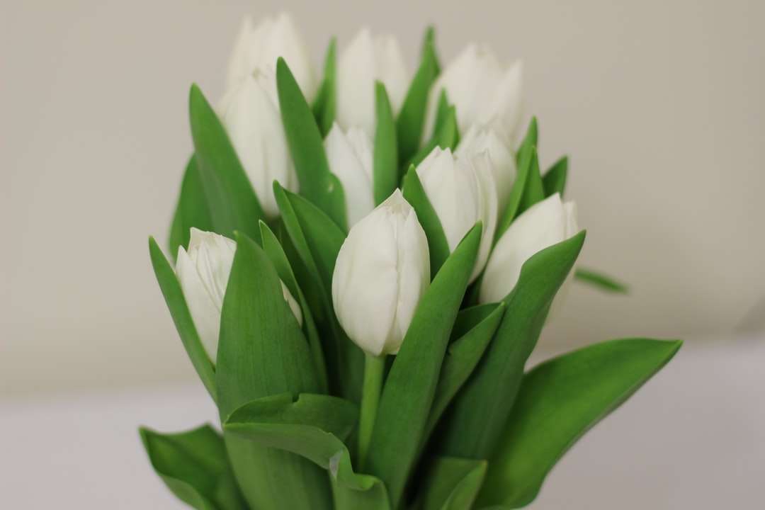 witte bloem online puzzel