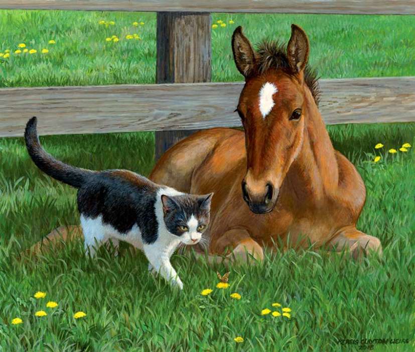 chaton avec cheval puzzle en ligne