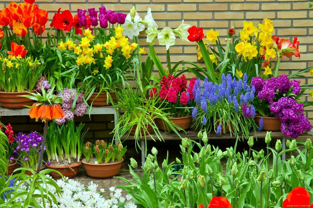 Tavaszi virágok online puzzle