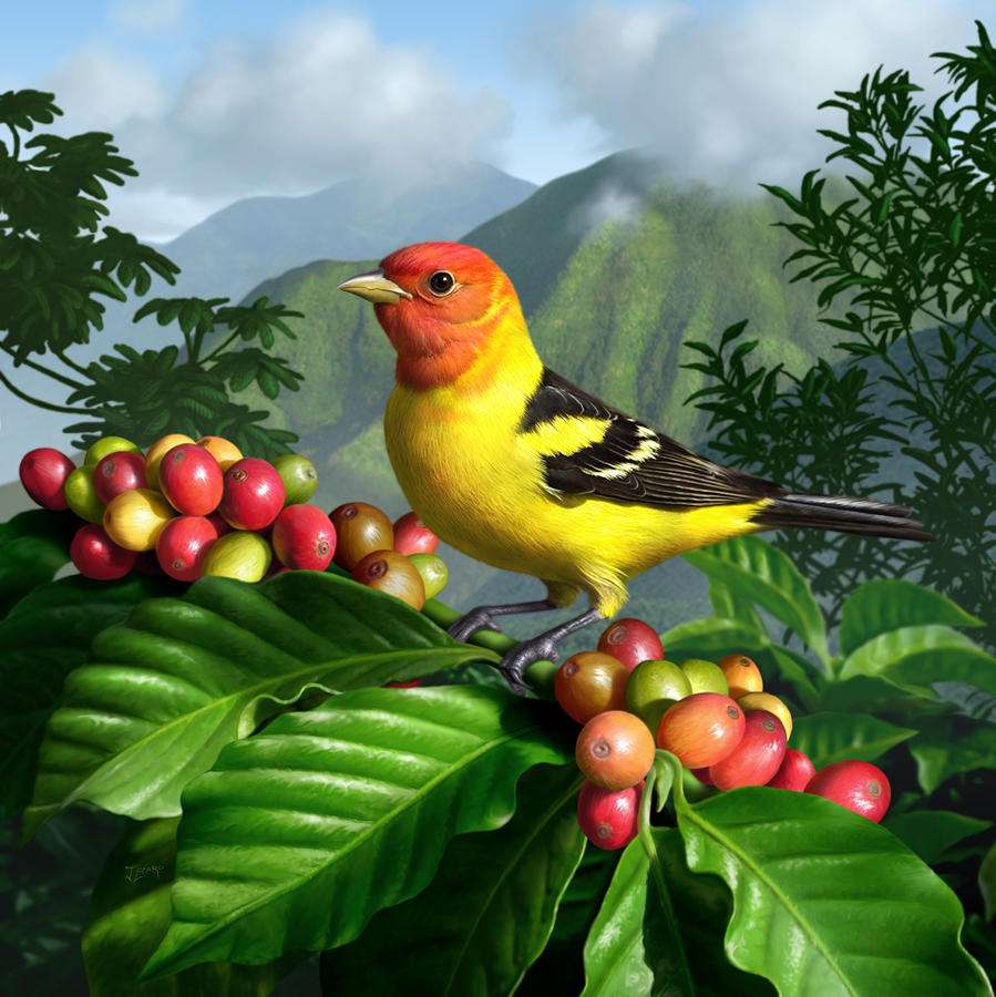 barevný pták s bobulemi online puzzle