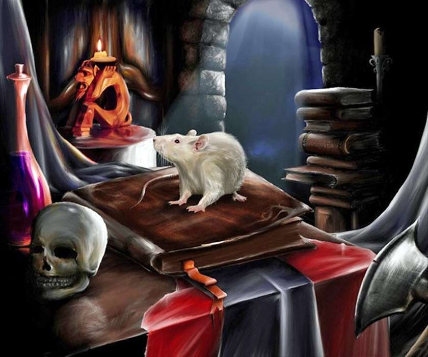 egy fehér patkány egy könyv tetején online puzzle